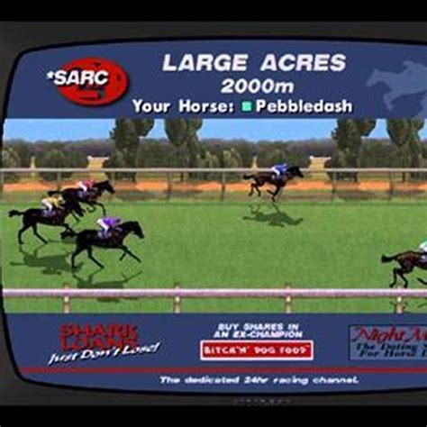 gta san andreas how to win horse race